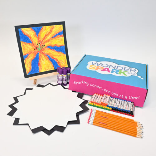 O'Keeffe Classroom Pack - All Box Photo - 4 O'Keeffe Classroom pack